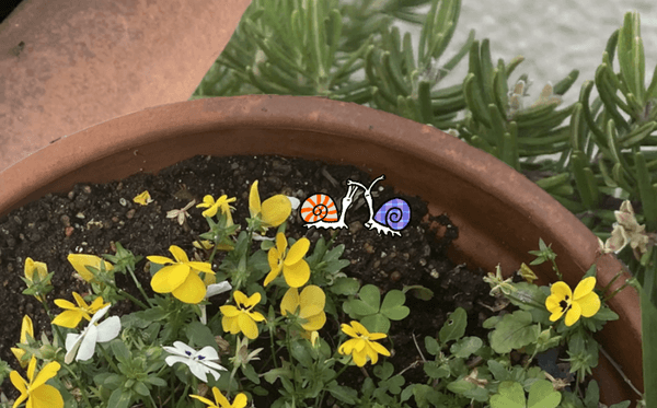 Screenshot from SUN SHOWER. A photograph of a potted plant with two cartoon snails next to the flowers.