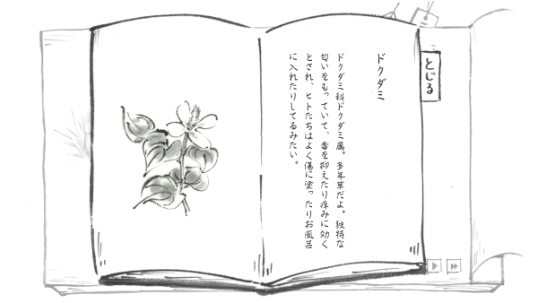 Index page for dokudami, a kind of flower. The description is written in brushstroke calligraphy and describes the plant's characteristics.